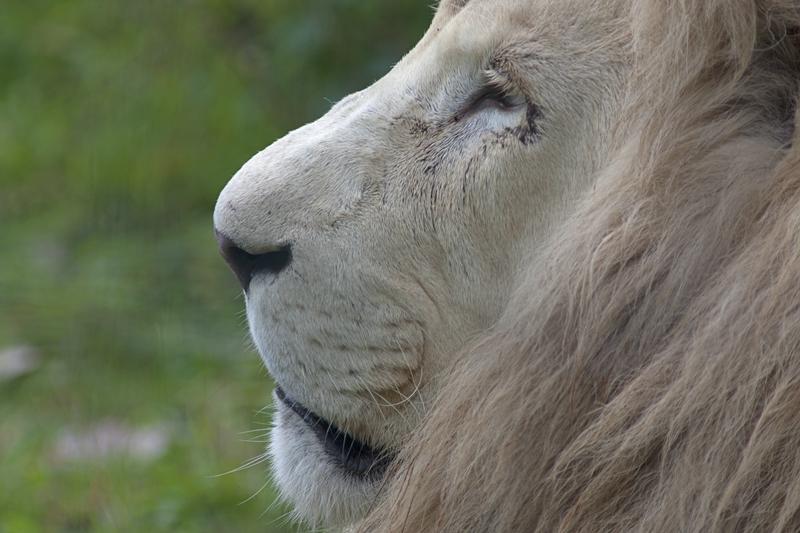 Cjp_2011_08_03_084617 (2).jpg